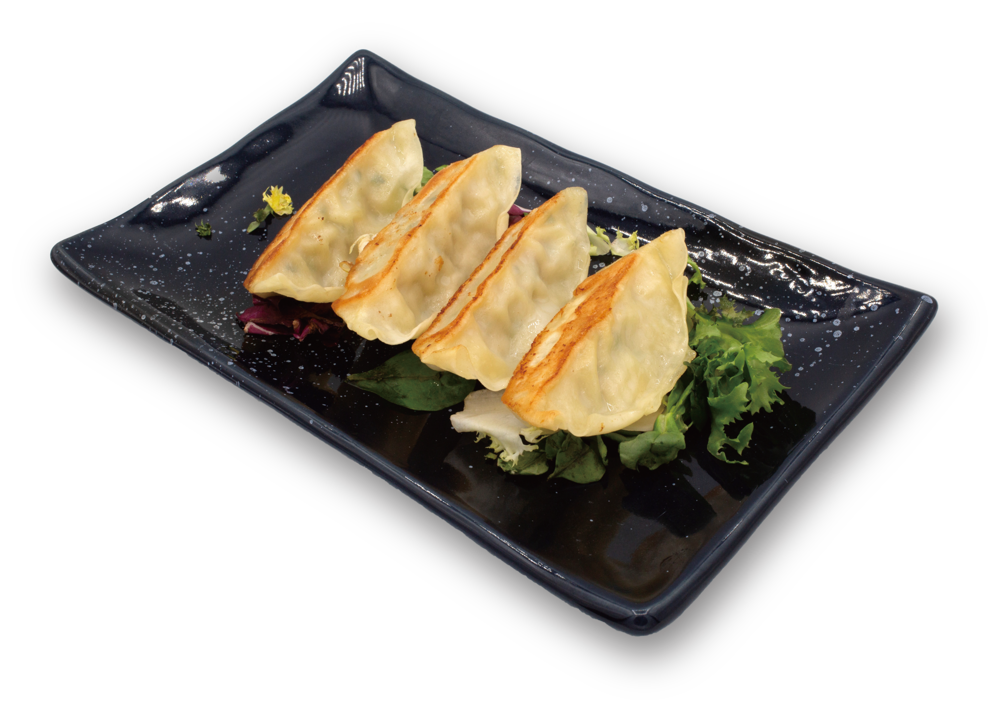 50.GYOZAS DE POLLO (5 U.)
